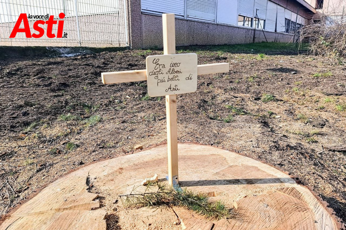 Una croce per l'albero abbattuto: il commovente gesto di un anonimo