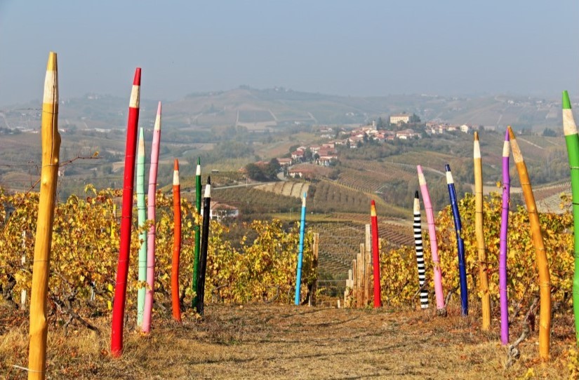 Domenica le colline Unesco di Coazzolo ospiteranno il primo 'instameet' dopo il lungo lockdown - Lavocediasti.it