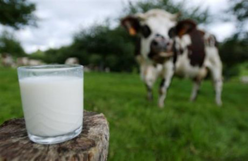 Tavolo del latte Piemonte, assessore Protopapa: “Le nostre aziende agricole necessitano di risposte urgenti&quot;