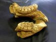 mandibola con due molari