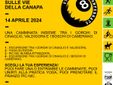 La mappa del circuito a 8