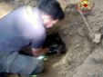 Alcune immagini relative il salvataggio della cagnolina