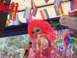 Galleria fotografica a cura di Merfephoto - Efrem Zanchettin