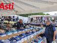 Galleria fotografica a cura di Merfephoto - Efrem Zanchettin
