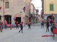 Galleria fotografica a cura di Barbara Guazzone, tutti i diritti riservati