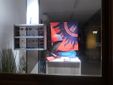 Galleria fotografica a cura di Barbara Guazzone, tutti i diritti riservati