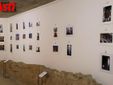 Galleria fotografica MerfePhoto