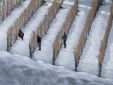 Langhe di Enzo Massa