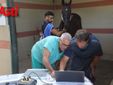 Le immagini della prima mattina di visite veterinarie (Merphefoto)