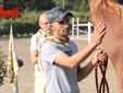 Le immagini della prima mattina di visite veterinarie (Merphefoto)