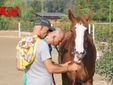 Le immagini della prima mattina di visite veterinarie (Merphefoto)