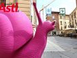 Galleria fotografica a cura di Merfephoto - Efrem Zanchettin