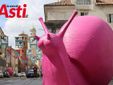 Galleria fotografica a cura di Merfephoto - Efrem Zanchettin