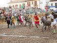 Immagine relativa una precedente edizione della manifestazione