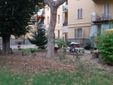 Alcune immagini dell'incontro organizzato dal coordinamento in via Dogliotti