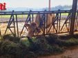 Alcune immagini dell'incontro all'azienda agricola Viarengo