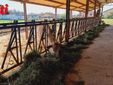 Alcune immagini dell'incontro all'azienda agricola Viarengo