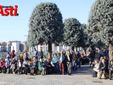 La celebrazione oggi al cimitero (Merfephoto