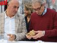 Fotogallery MerfePhoto