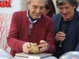 Fotogallery MerfePhoto