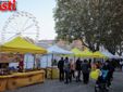 Fotogallery MerfePhoto