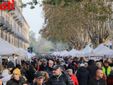 Fotogallery MerfePhoto