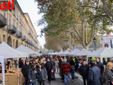 Fotogallery MerfePhoto