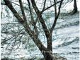 Le foto sono di Vittorio Ubertone (Sapori del Piemonte)