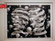 Ricca galleria fotografica a cura di Efrem Zanchettin