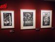 Ricca galleria fotografica a cura di Efrem Zanchettin