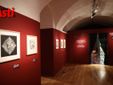 Ricca galleria fotografica a cura di Efrem Zanchettin