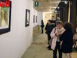 Galleria fotografica di MerfePhoto