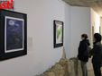 Galleria fotografica di MerfePhoto