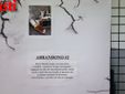 Assemblea e mostra Vite tra le crepe (MerfePhoto)