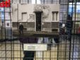 Assemblea e mostra Vite tra le crepe (MerfePhoto)