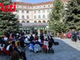 Galleria fotografica a cura di Merfephoto - Efrem Zanchettin