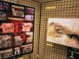 Galleria fotografica a cura di Merfephoto - Efrem Zanchettin