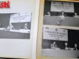 Fotogallery di MerfePhoto