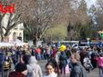Alcune immagini del carnevale bagnato (Merphefoto)