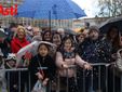 Alcune immagini del carnevale bagnato (Merphefoto)