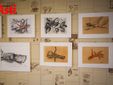 Le immagini della mostra negli scatti di Efrem Zanchettin Le immagini della mostra negli scatti di Efrem Zanchettin