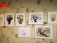 Le immagini della mostra negli scatti di Efrem Zanchettin Le immagini della mostra negli scatti di Efrem Zanchettin
