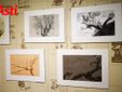 Le immagini della mostra negli scatti di Efrem Zanchettin Le immagini della mostra negli scatti di Efrem Zanchettin