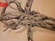 Le immagini della mostra negli scatti di Efrem Zanchettin Le immagini della mostra negli scatti di Efrem Zanchettin