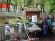 Le immagini della pulizia del laghetto (Merphefoto)