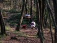 Domenica 8 giugno ultimo appuntamento al Bosco dei Partigiani