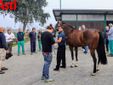 Ricca fotogallery di MerfePhoto
