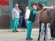 Ricca fotogallery di MerfePhoto