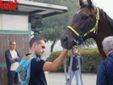 Ricca fotogallery di MerfePhoto