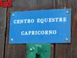 Ricca fotogallery di MerfePhoto